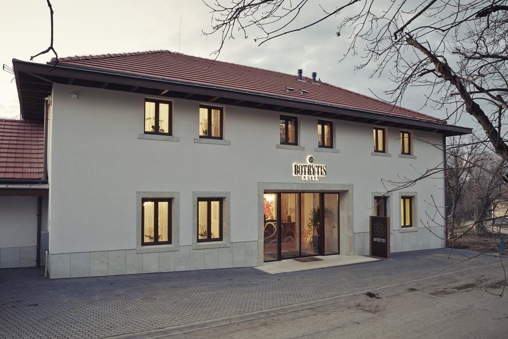 Botrytis Borhotel Mád Quarto foto